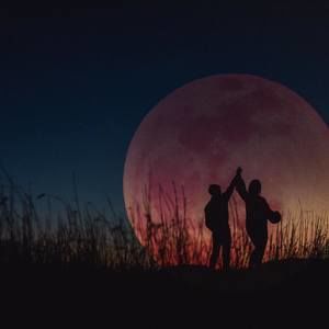 Meet your Posher, Sabre